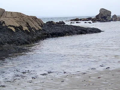 Trá Mhór Beach, An Fál Carrach, Falcarragh, Irish Coast, Ireland — 6