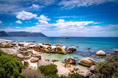 Boulders Beach