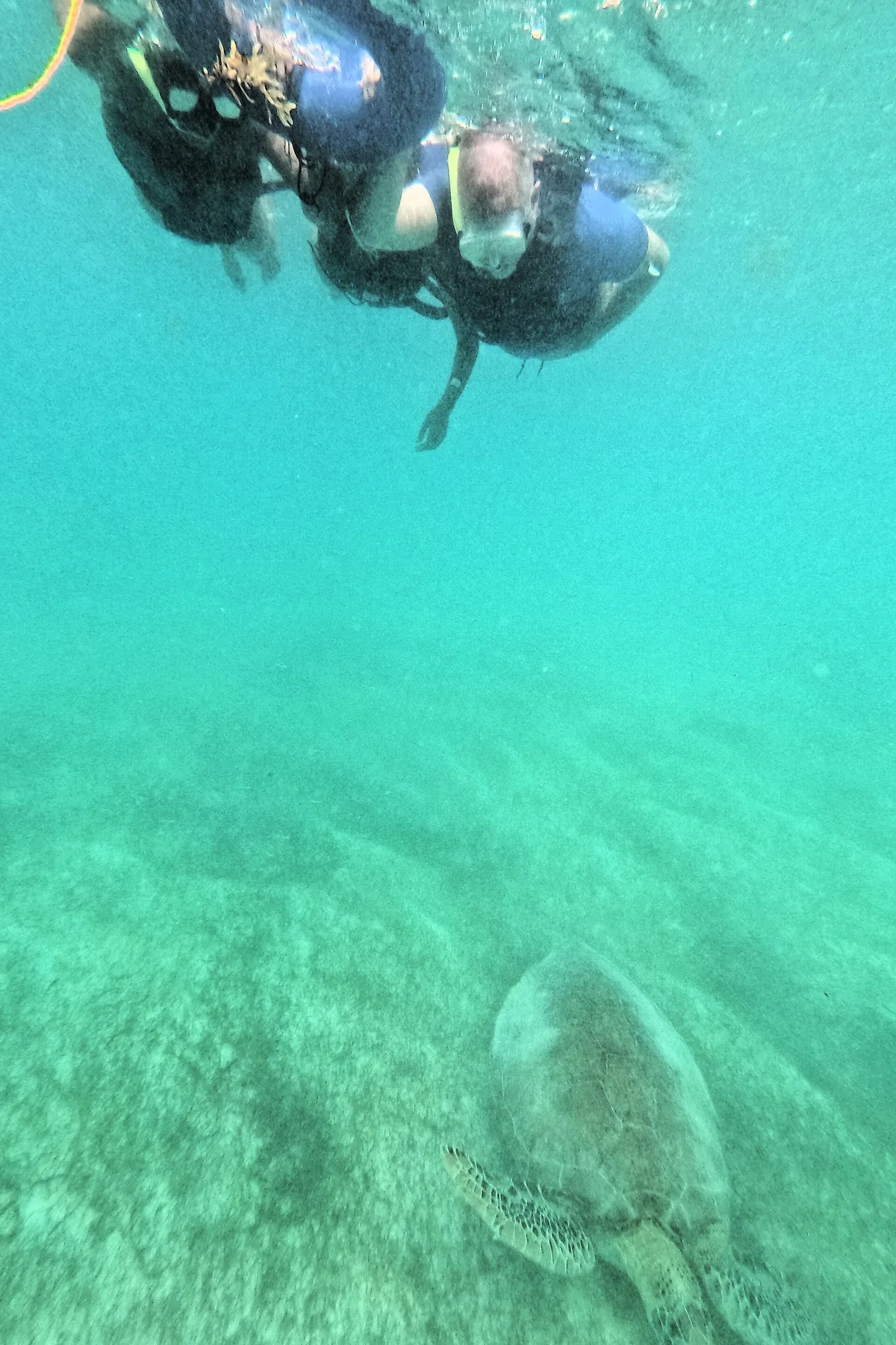 Akumal Beach, Tulum, Yucatan Caribbean, Mexico — 2