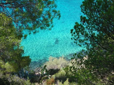 Fetovaia Beach