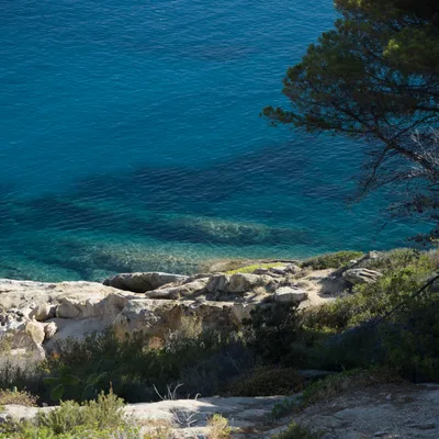 Fetovaia Beach, Campo nell'Elba, Tuscany, Italy — 3