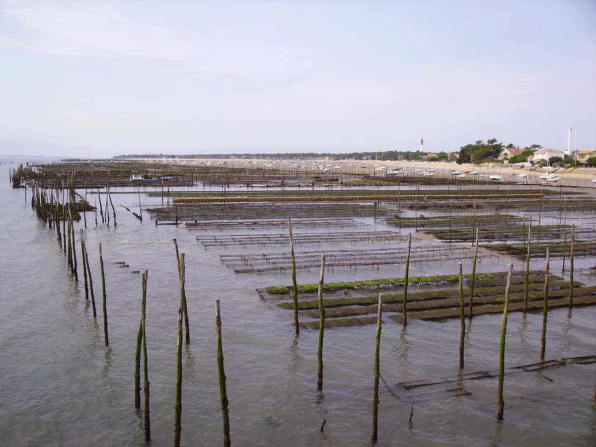 Américains Beach, Lège-Cap-Ferret, Nouvelle-Aquitaine, France — 6
