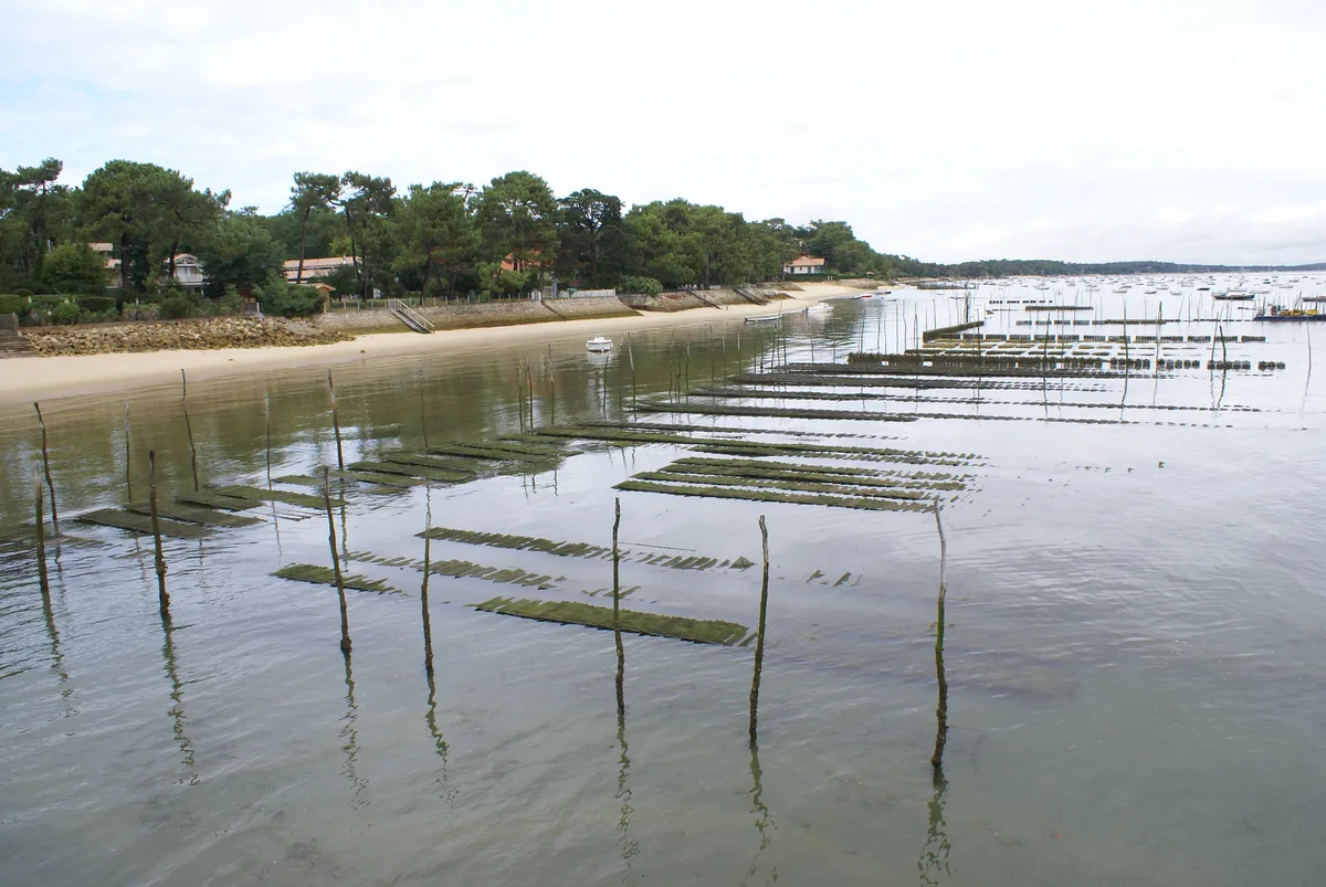 Américains Beach, Lège-Cap-Ferret, Nouvelle-Aquitaine, France — 4