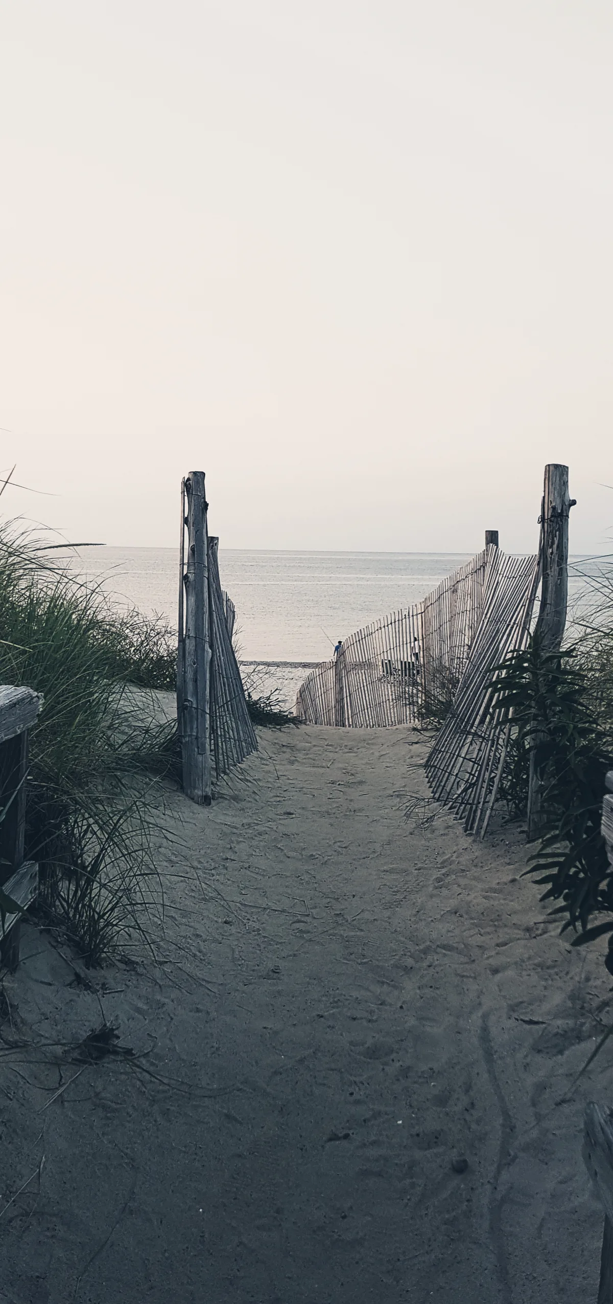 Sandy Neck Beach, Barnstable, US Northeast, United States — 4