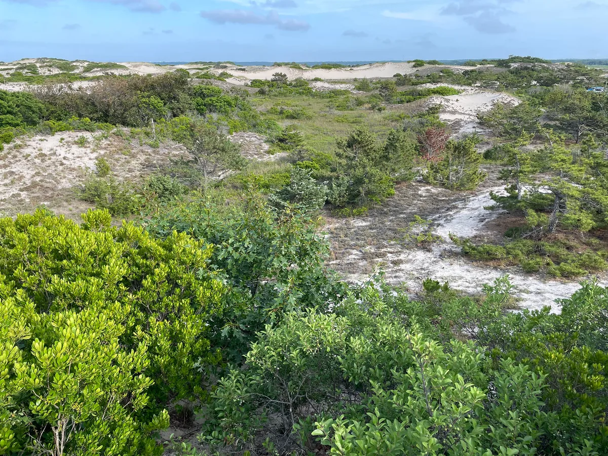 Sandy Neck Beach, Barnstable, US Northeast, United States