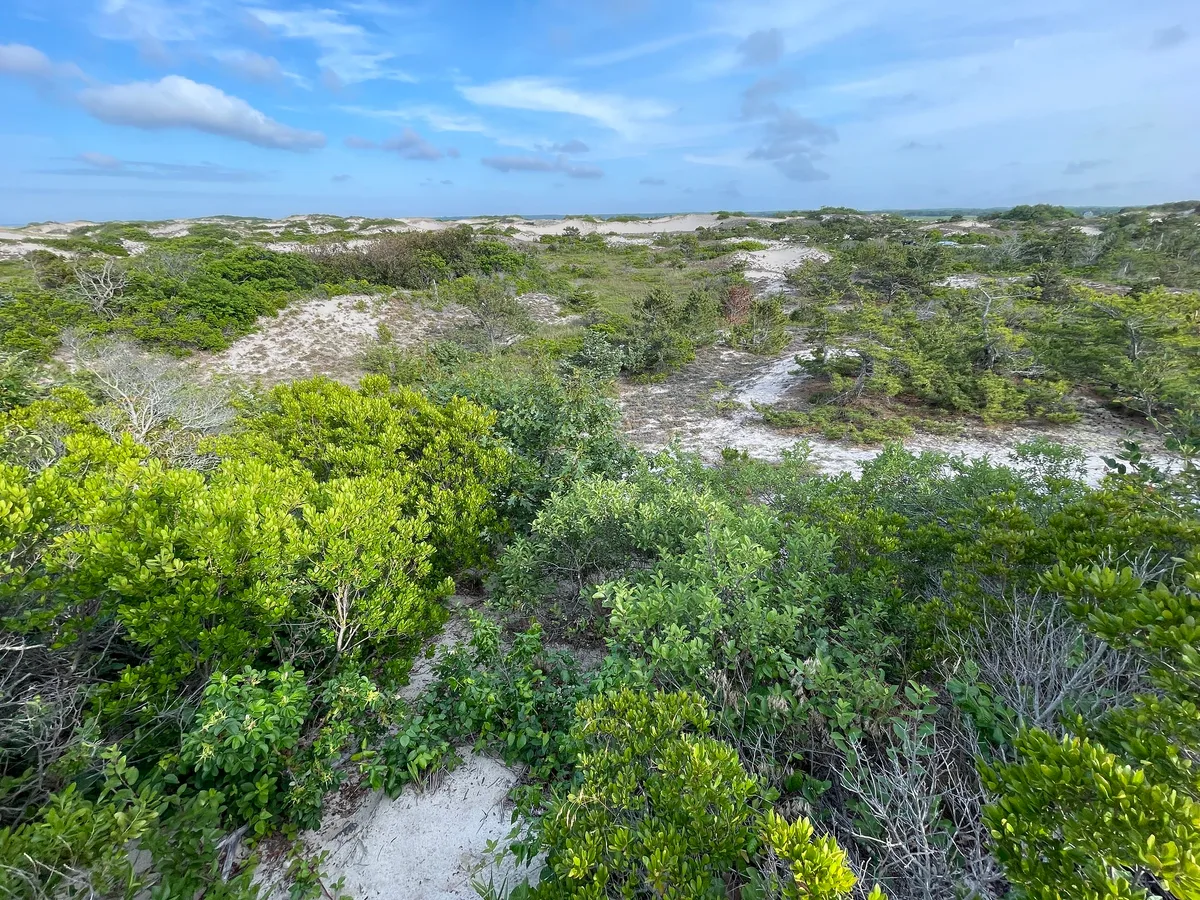 Sandy Neck Beach, Barnstable, US Northeast, United States — 2