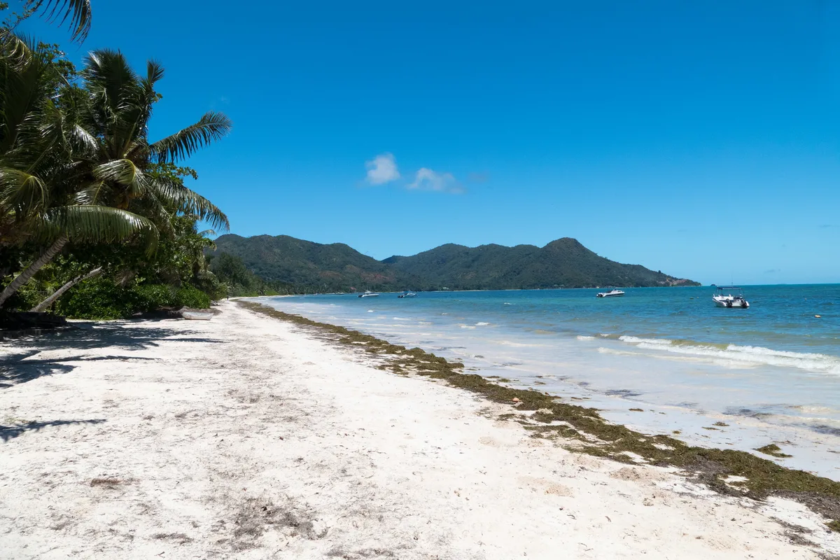 Plage de Grand Anse, Grand'Anse Praslin, Seychelles Inner Islands, Seychelles — 2