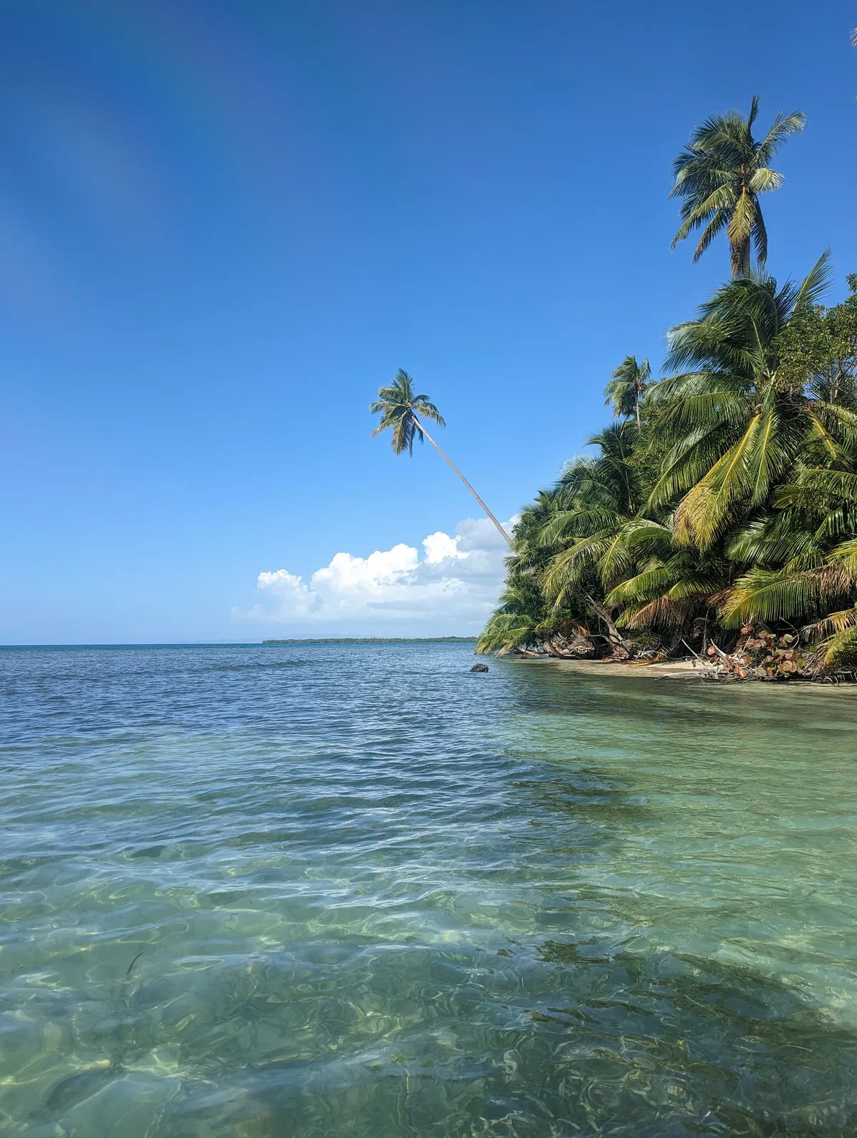 Plage de Buyé, Cabo Rojo, Greater Antilles, Puerto Rico — 4