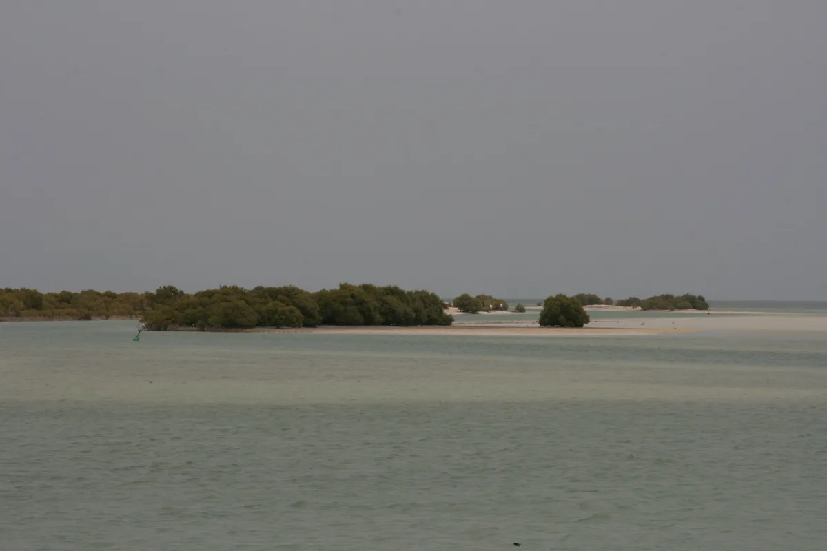 Spiaggia di Al Thakhira, Al Dhakhira, Persian Gulf, Qatar