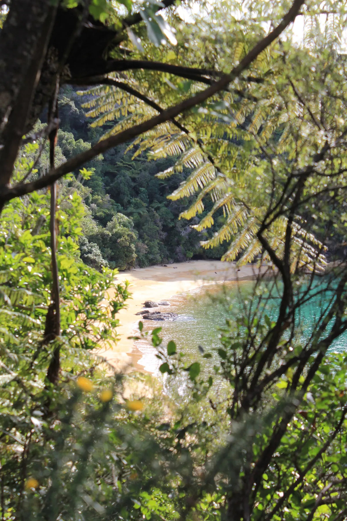 Te Pukatea-Strand, Tasman District, Nelson-Tasman, Neuseeland — 4