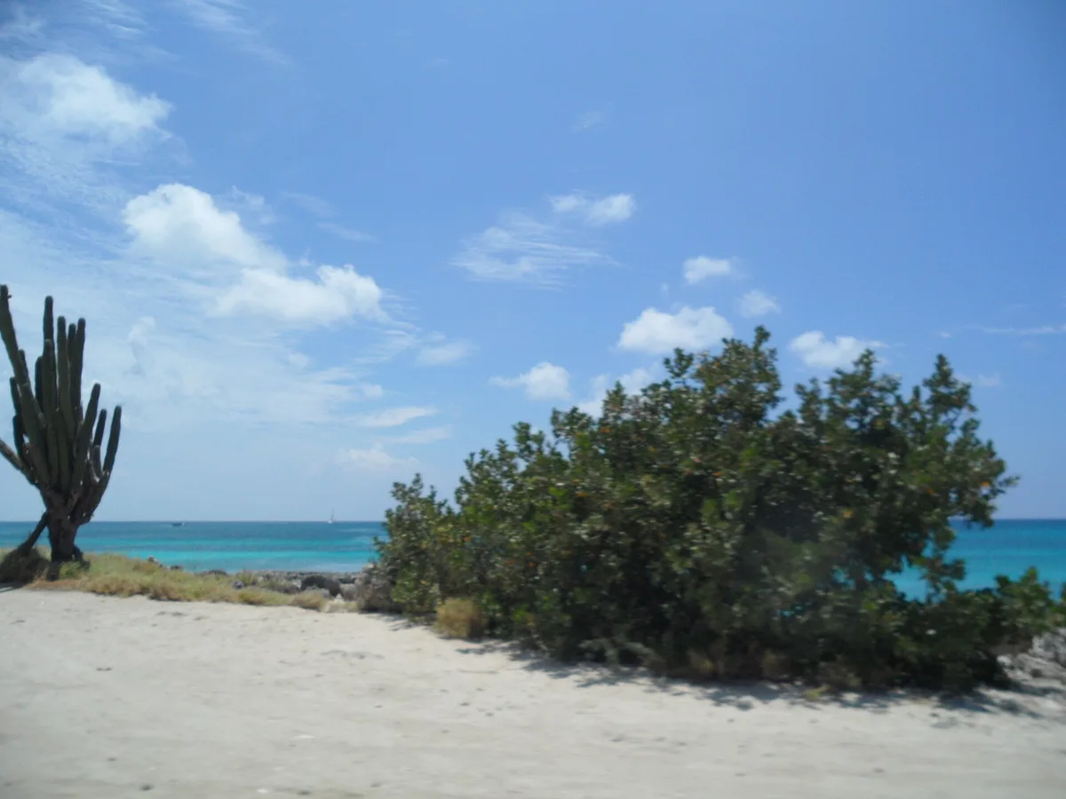 Plage de Malmok, Noord, Lesser Antilles, Aruba — 4