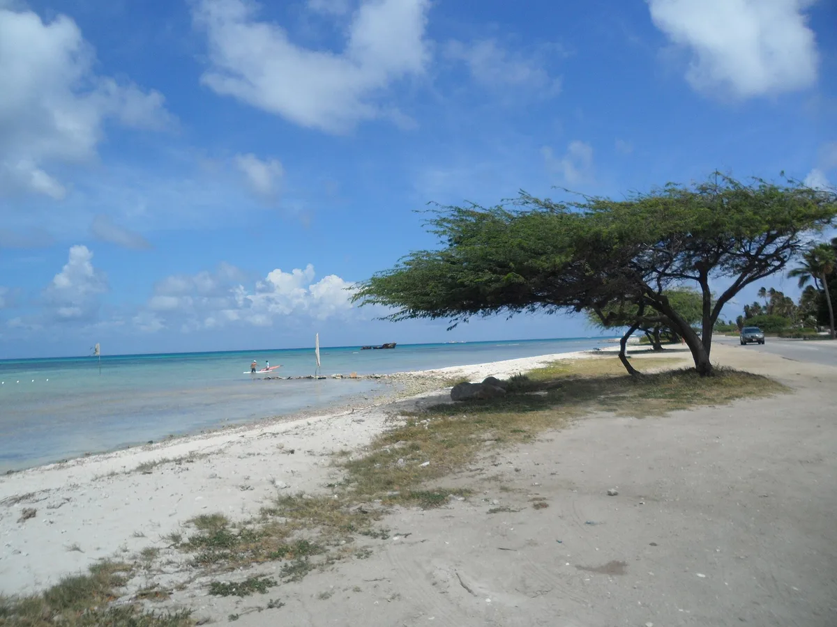 Plage de Malmok, Noord, Lesser Antilles, Aruba — 3