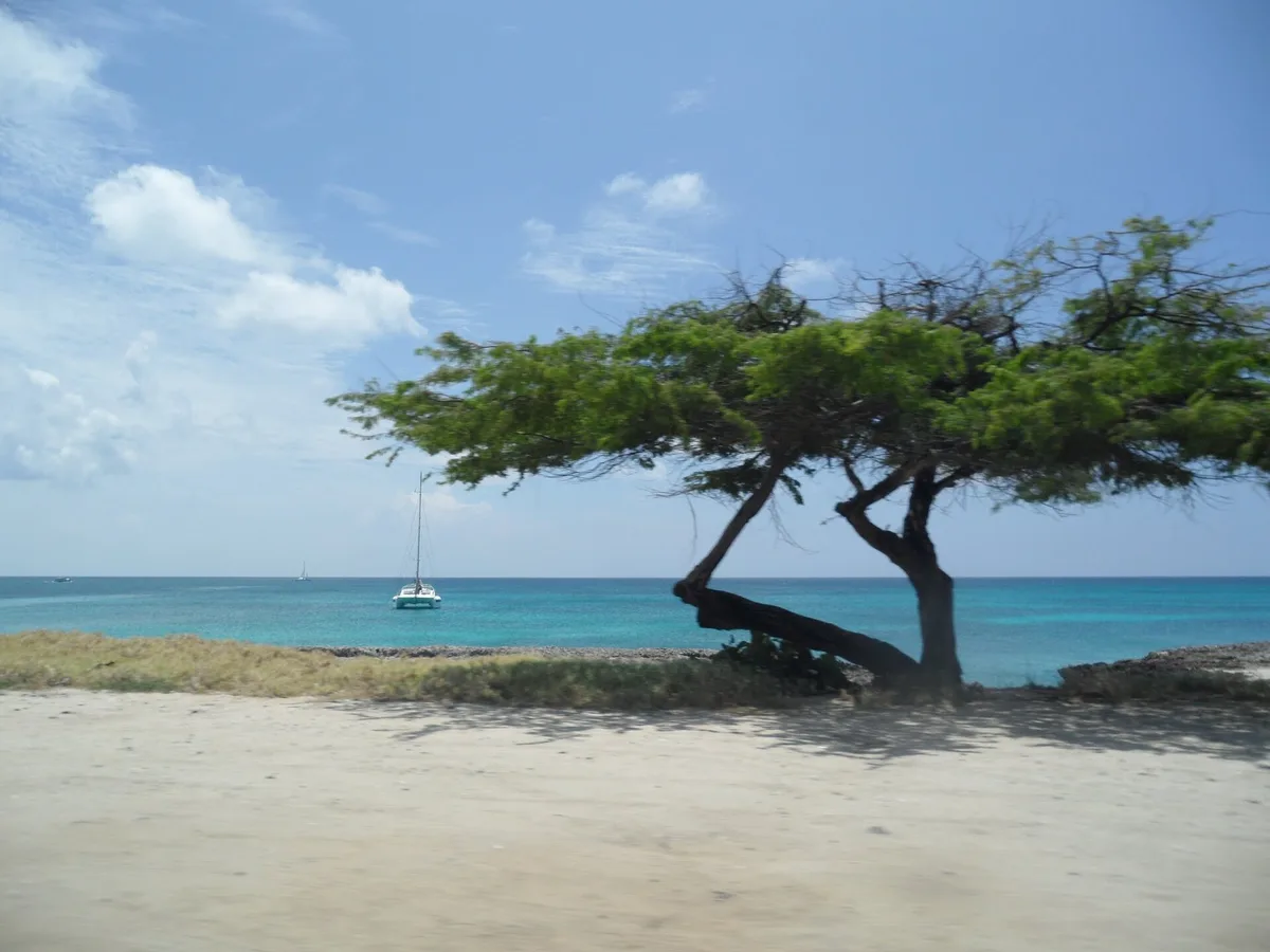 Plage de Malmok, Noord, Lesser Antilles, Aruba