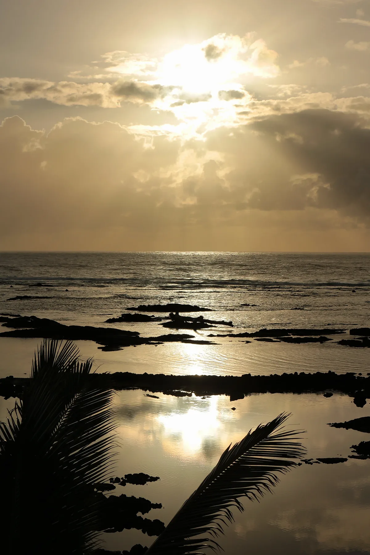 Kapoho Tide Pools, Puna, Hawaii, États-Unis — 3