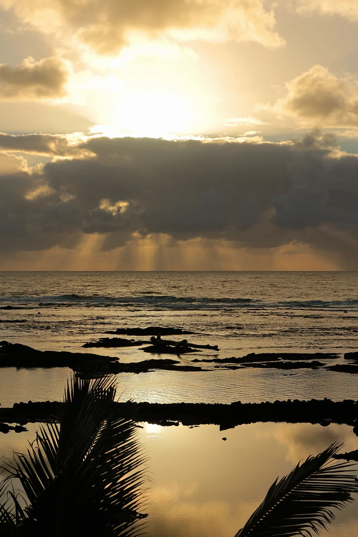Kapoho Tide Pools, Puna, Hawaii, États-Unis — 2