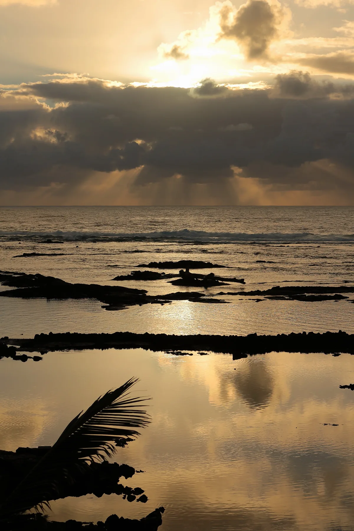 Kapoho Tide Pools, Puna, Hawaii, États-Unis