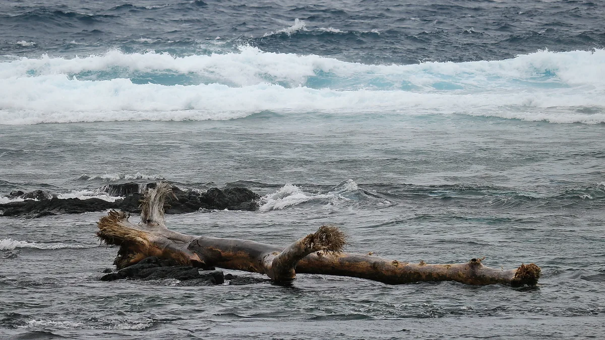 Kapoho Tide Pools, Puna, Hawaii, États-Unis — 4