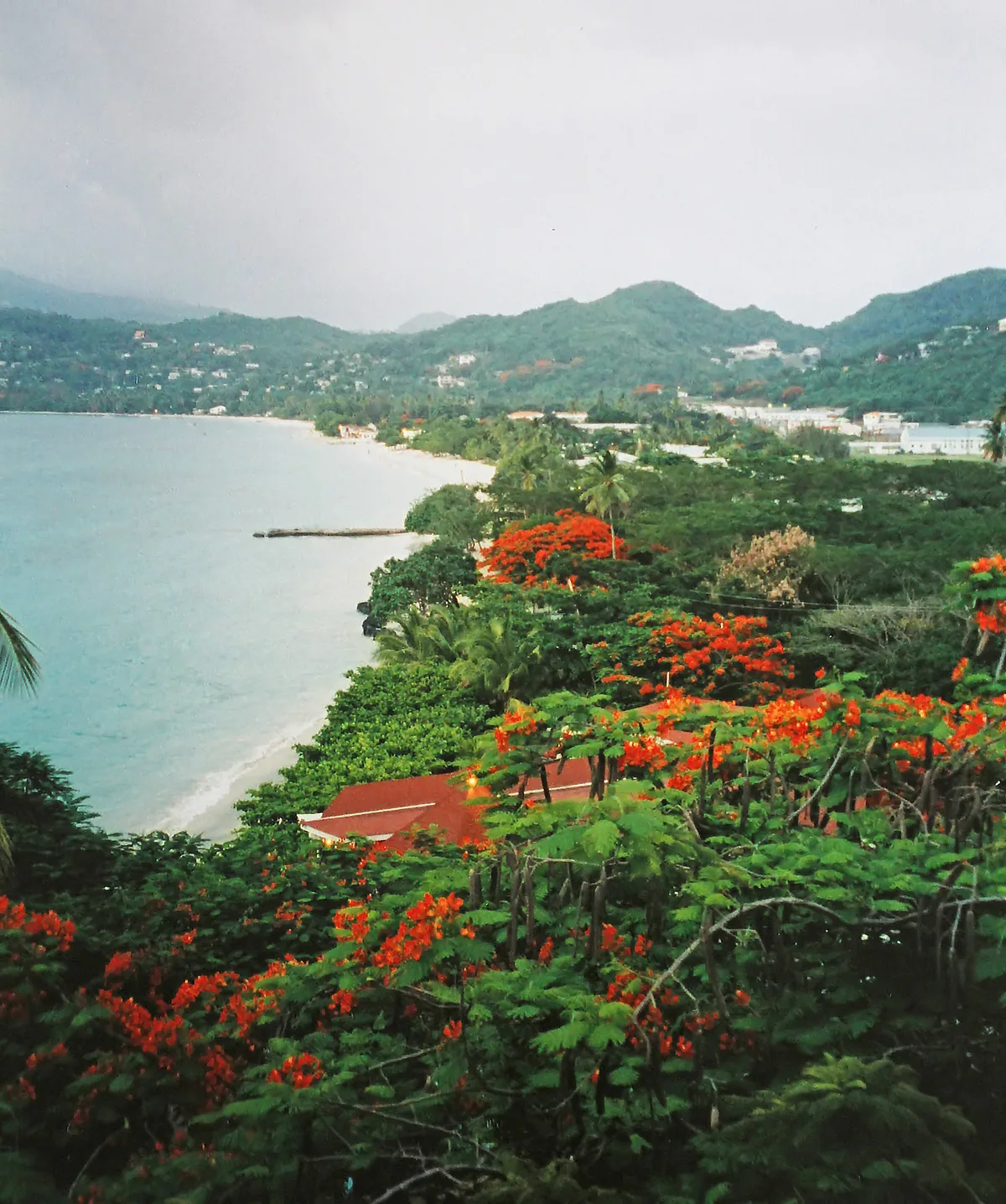 Plage de la Grand Anse, Saint George, Lesser Antilles, Grenada — 3