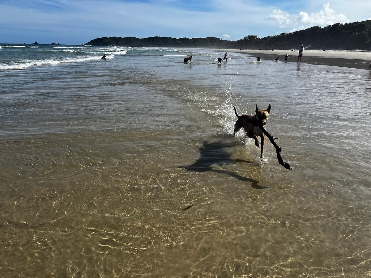 Plage de Suffolk Park, Suffolk Park, Australian East Coast, Australie — 5