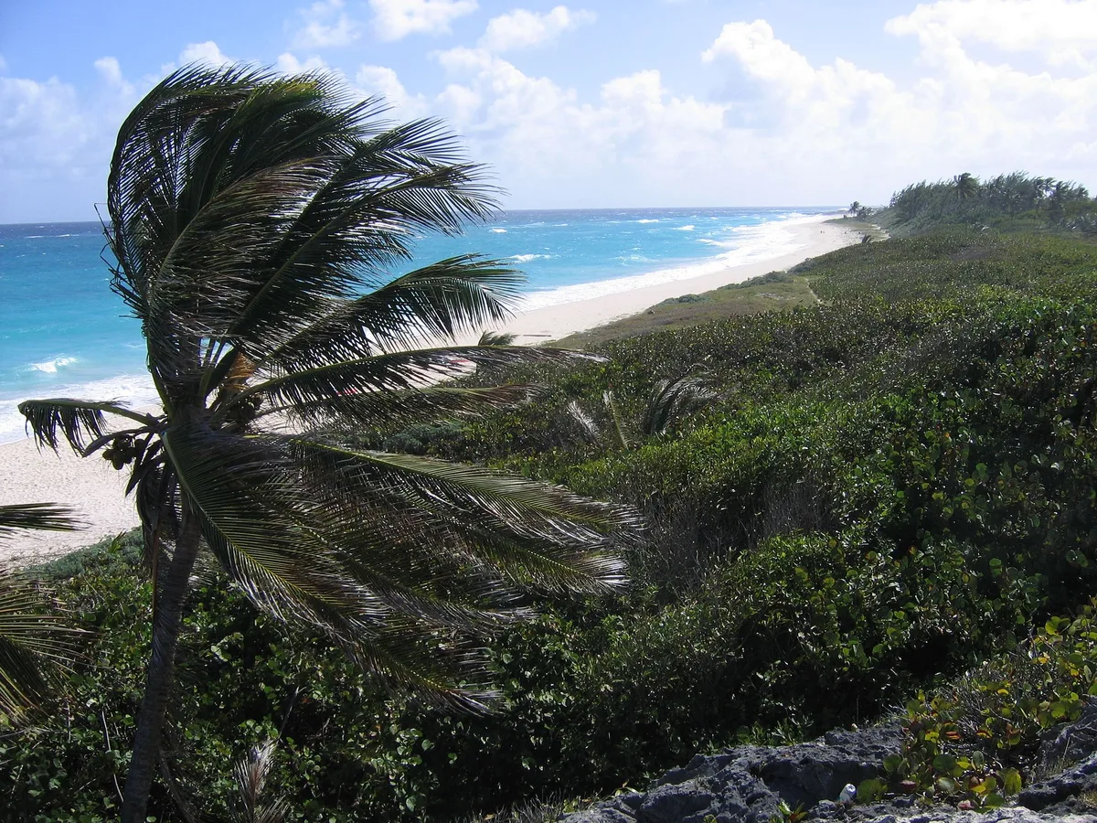 Silver Sands Beach, Christ Church, Lesser Antilles, Barbade — 5