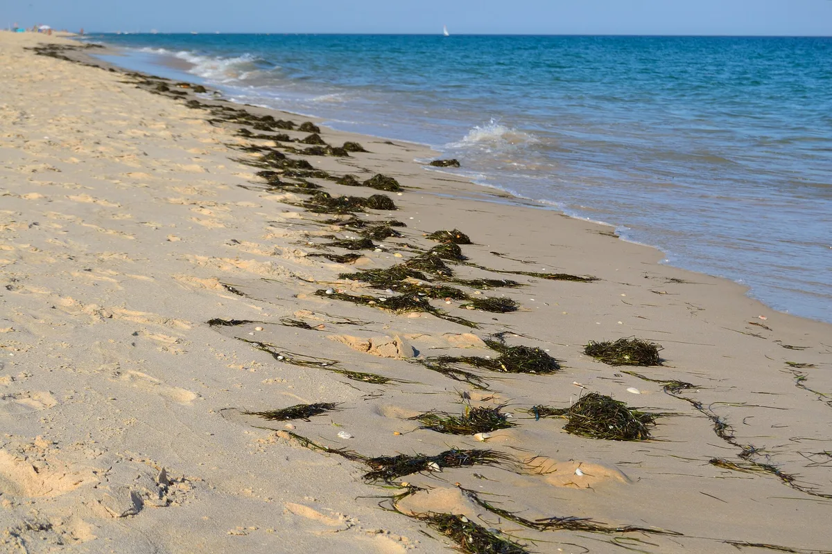 Playa del Barril, Tavira, Portuguese Atlantic, Portugal — 4
