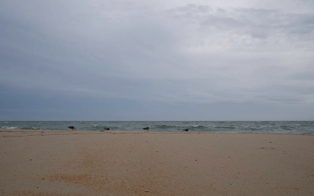 Playa de la Figueirinha, Setúbal, Portuguese Atlantic, Portugal — 5