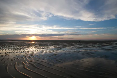 Chapin Memorial Beach