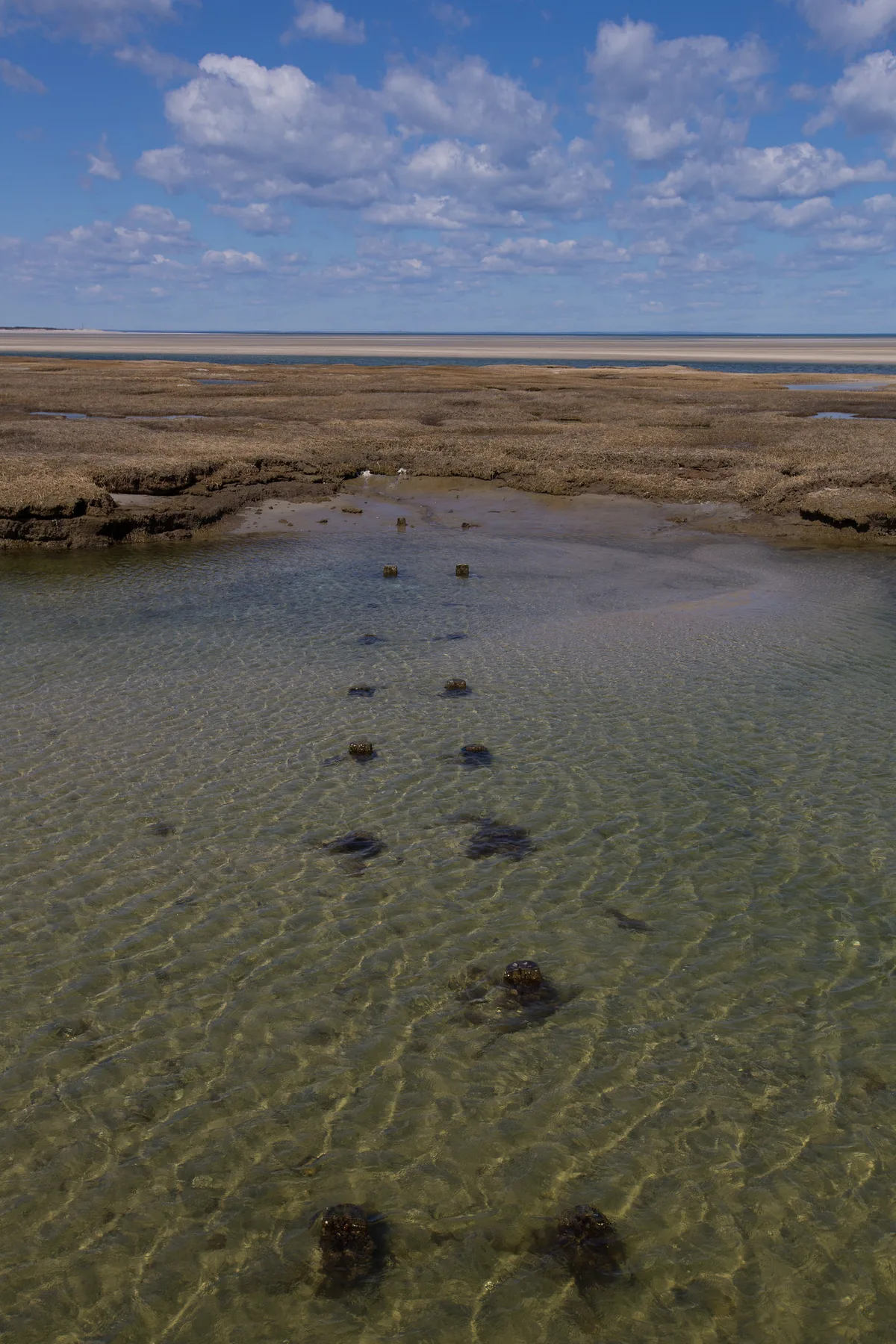 Chapin Memorial Beach, Dennis, US Northeast, États-Unis — 4