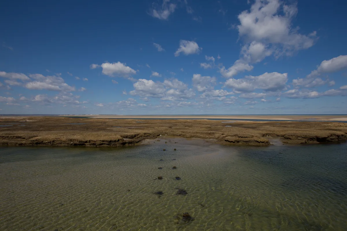 Chapin Memorial Beach, Dennis, US Northeast, États-Unis — 3
