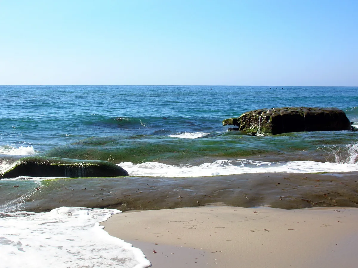 Windansea Beach, San Diego, California Coast, États-Unis — 3