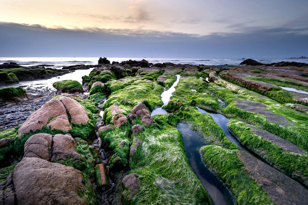 Cổ Thạch Beach, Bình Thạnh, Vietnamese Coast, Vietnam — 2