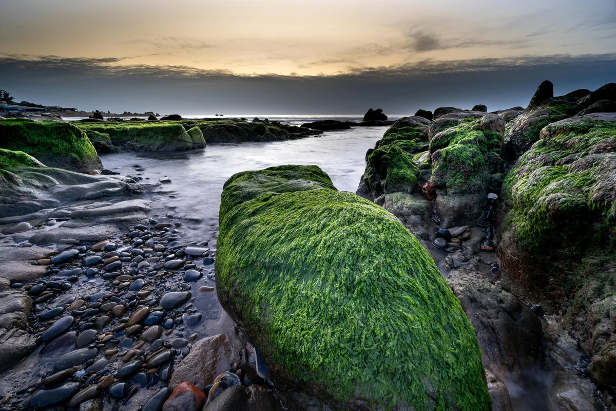 Cổ Thạch Beach, Bình Thạnh, Vietnamese Coast, Vietnam — 3