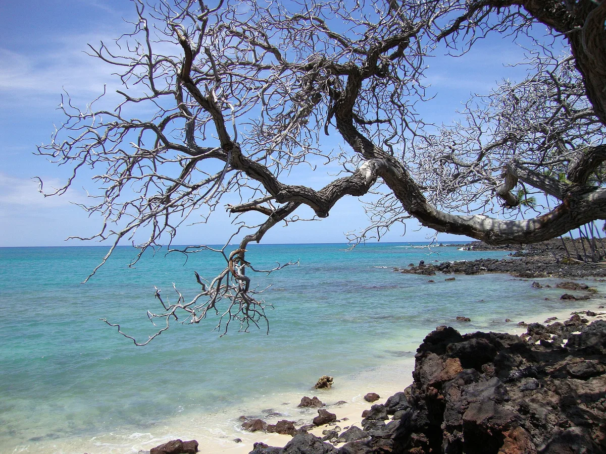 Plage de Mahai'ula, North Kona, Hawaii, États-Unis — 2