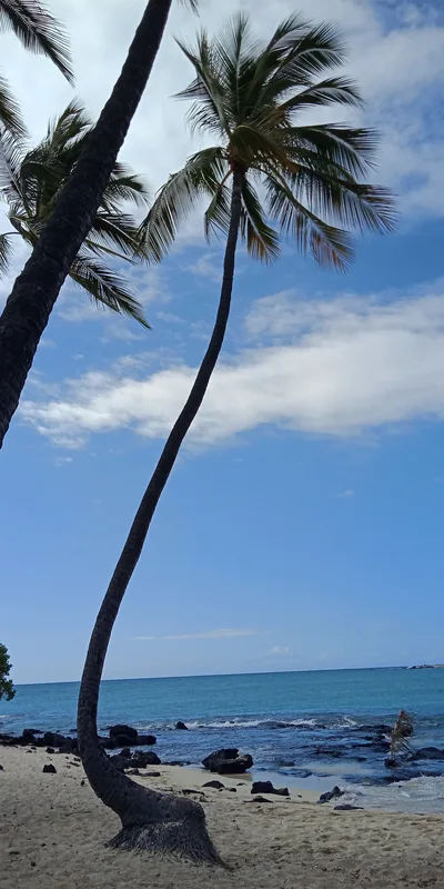 Plage de Mahai'ula, North Kona, Hawaii, États-Unis — 6