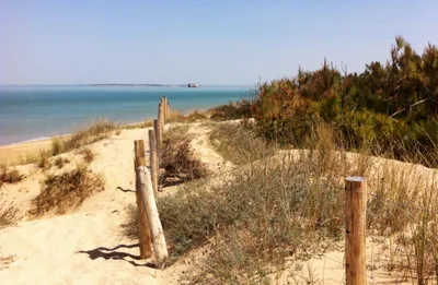 Plage des Saumonards