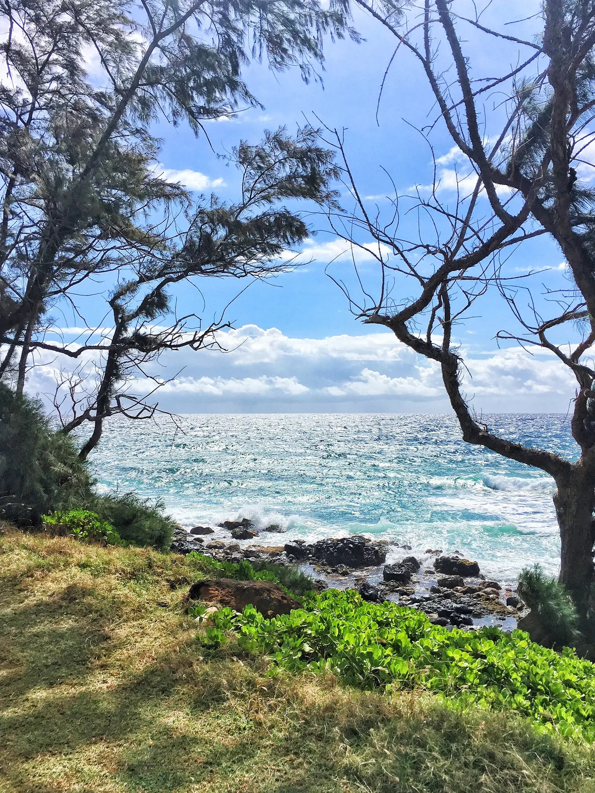 Plage de Keālia, Hawaii, États-Unis — 5