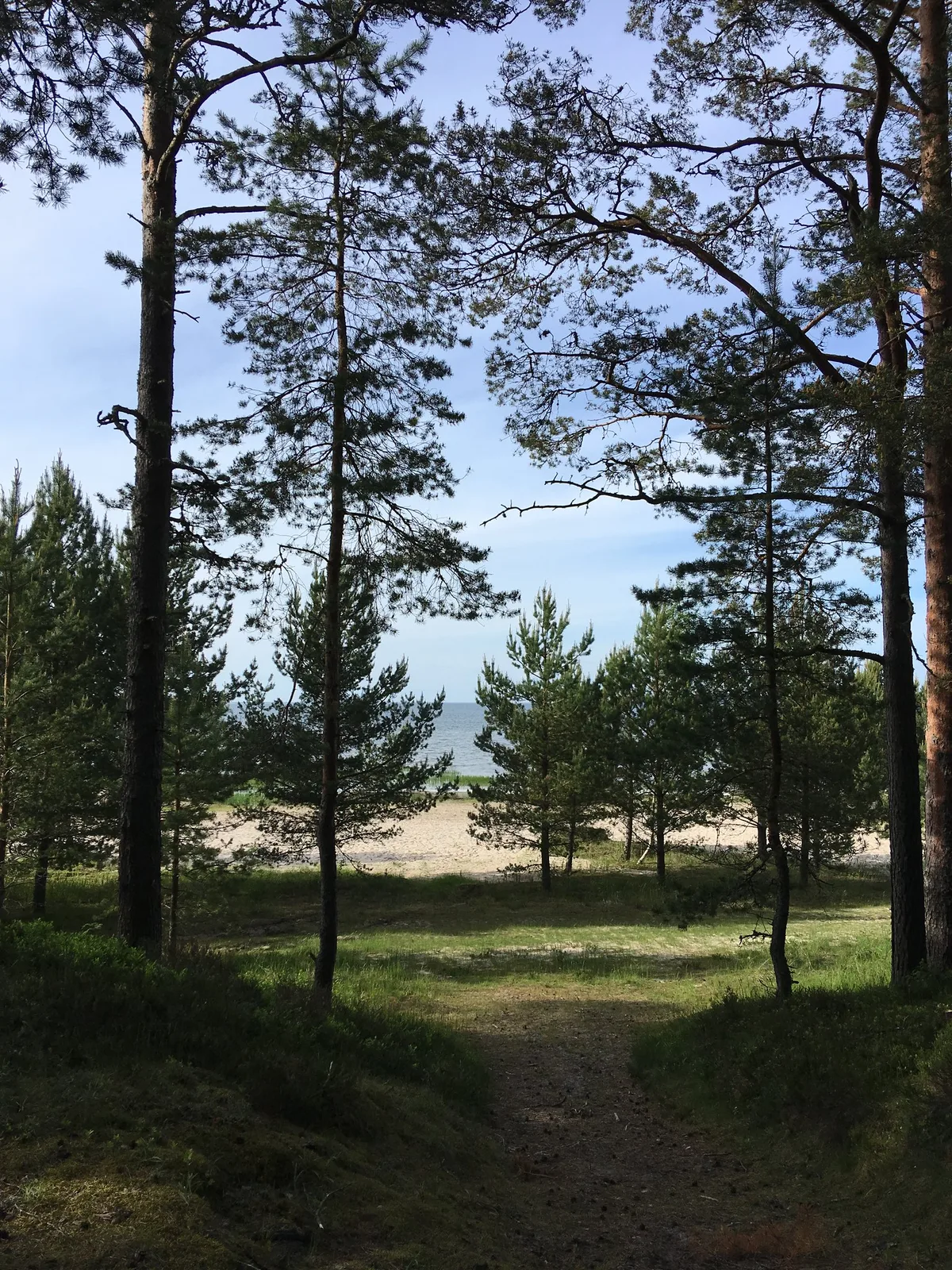 Võsu Beach, Haljala vald, Baltic Sea, Estonia — 2