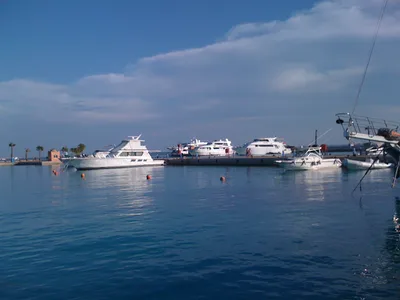Zeytouna Beach