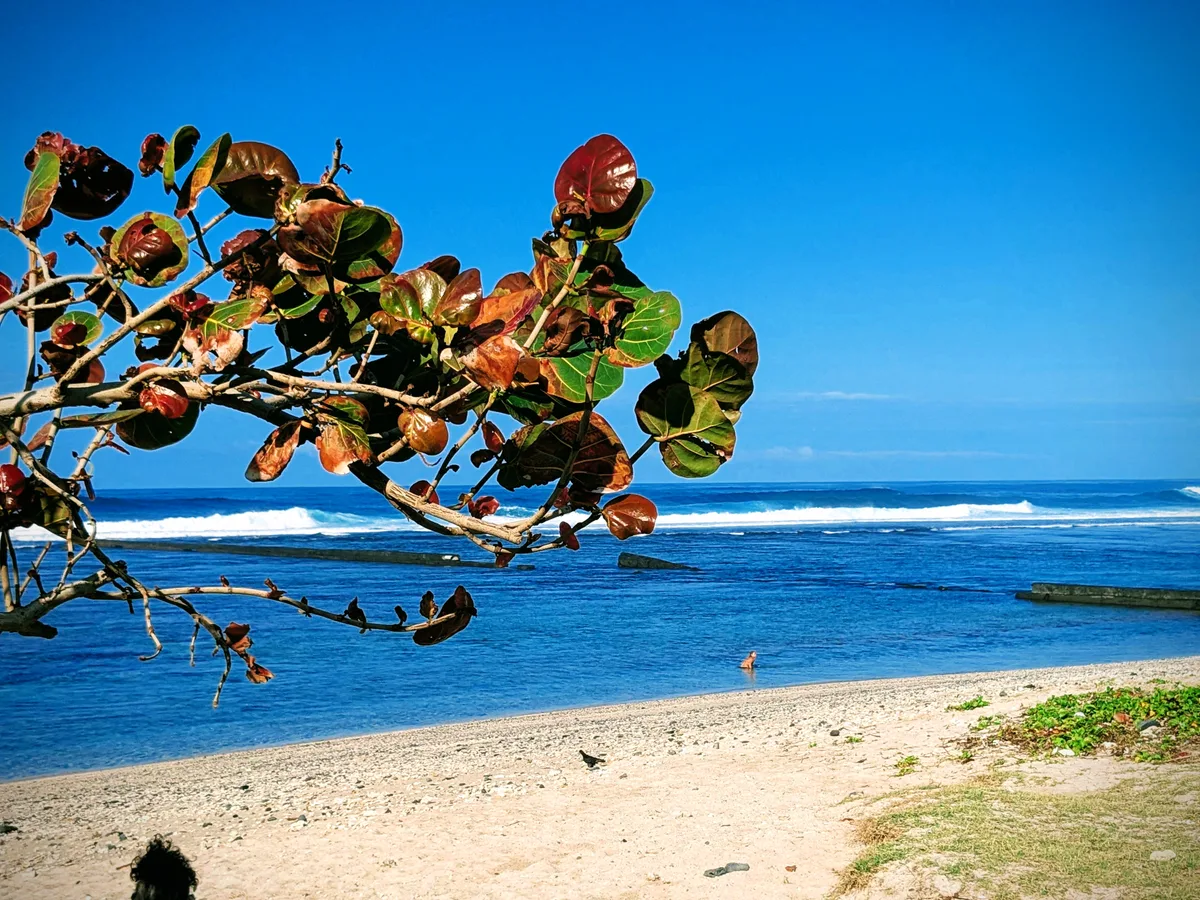 Petite Plage De Salahin-Strand, Saint-Pierre, Réunion, Frankreich