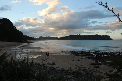 Hot Water Beach