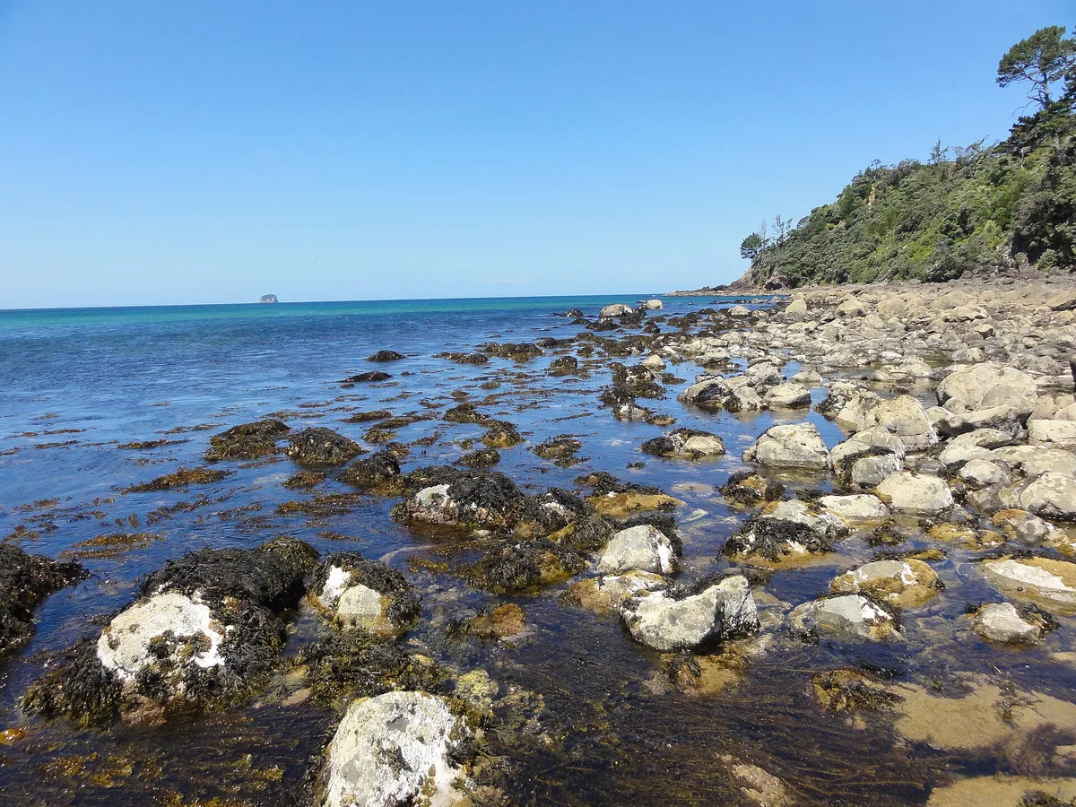 Hot Water Beach, Hot Water Beach, Waikato, Nueva Zelanda — 4