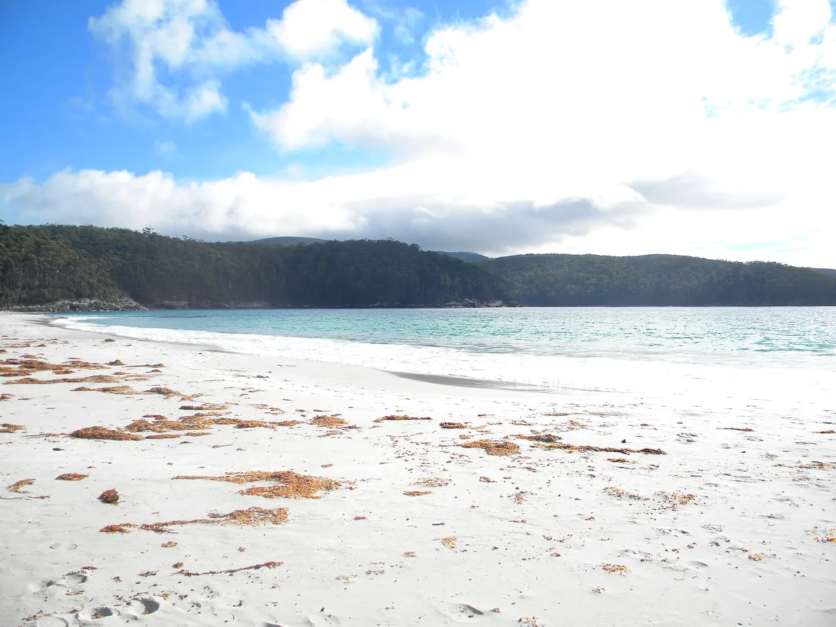 Plage de Fortescue Bay, Tasman, Tasmania, Australie — 4