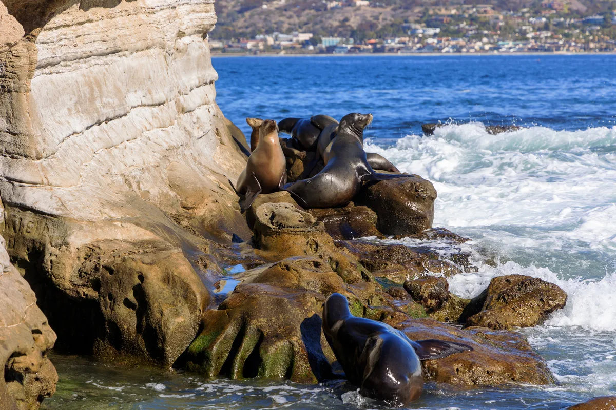 La Jolla Cove, San Diego, California Coast, États-Unis — 2