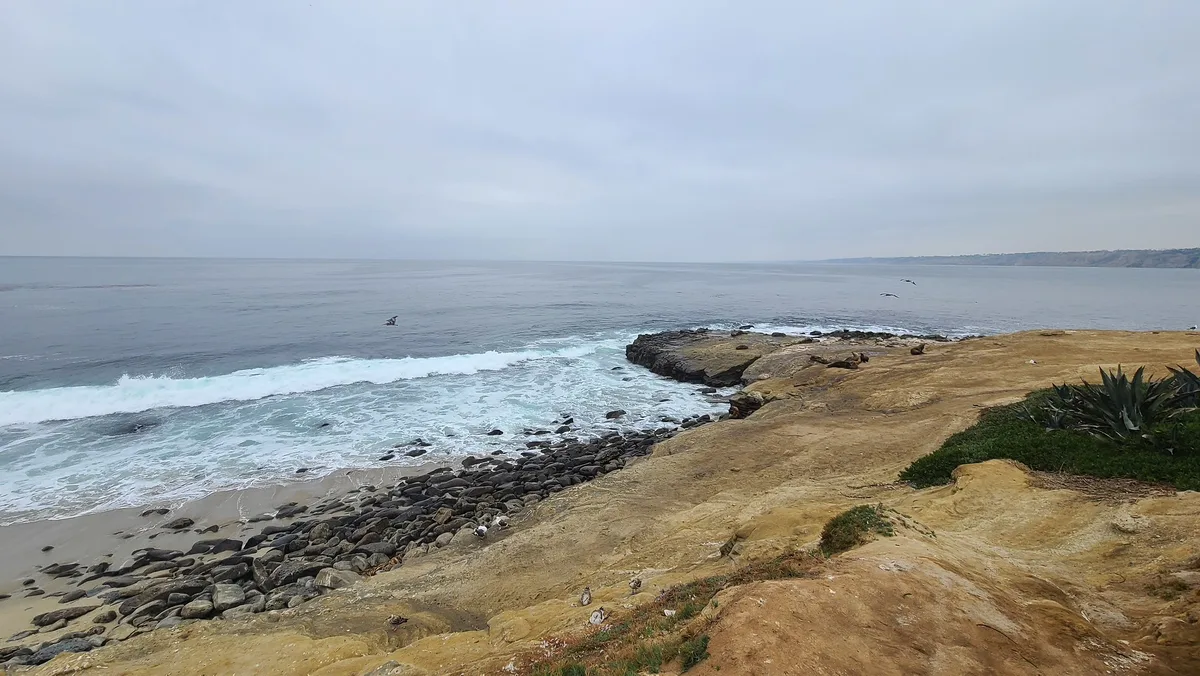 La Jolla Cove, San Diego, California Coast, États-Unis — 6