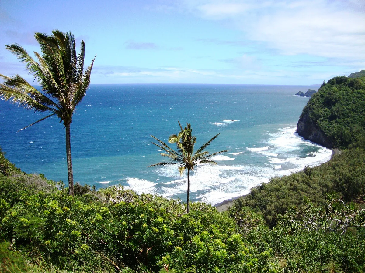 Plage de Pololu Valley, North Kohala, Hawaii, États-Unis — 2