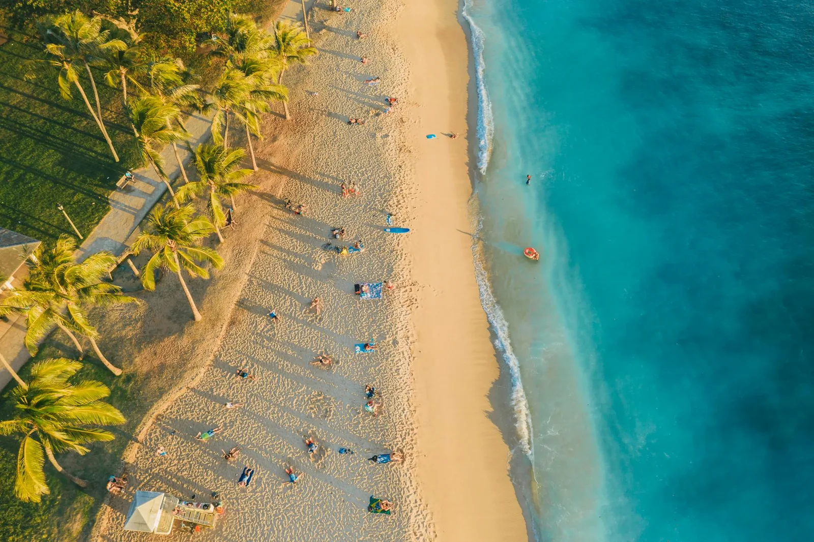 A stunning aerial view of a tropical beach with sunbathers and palm trees casting long shadows.