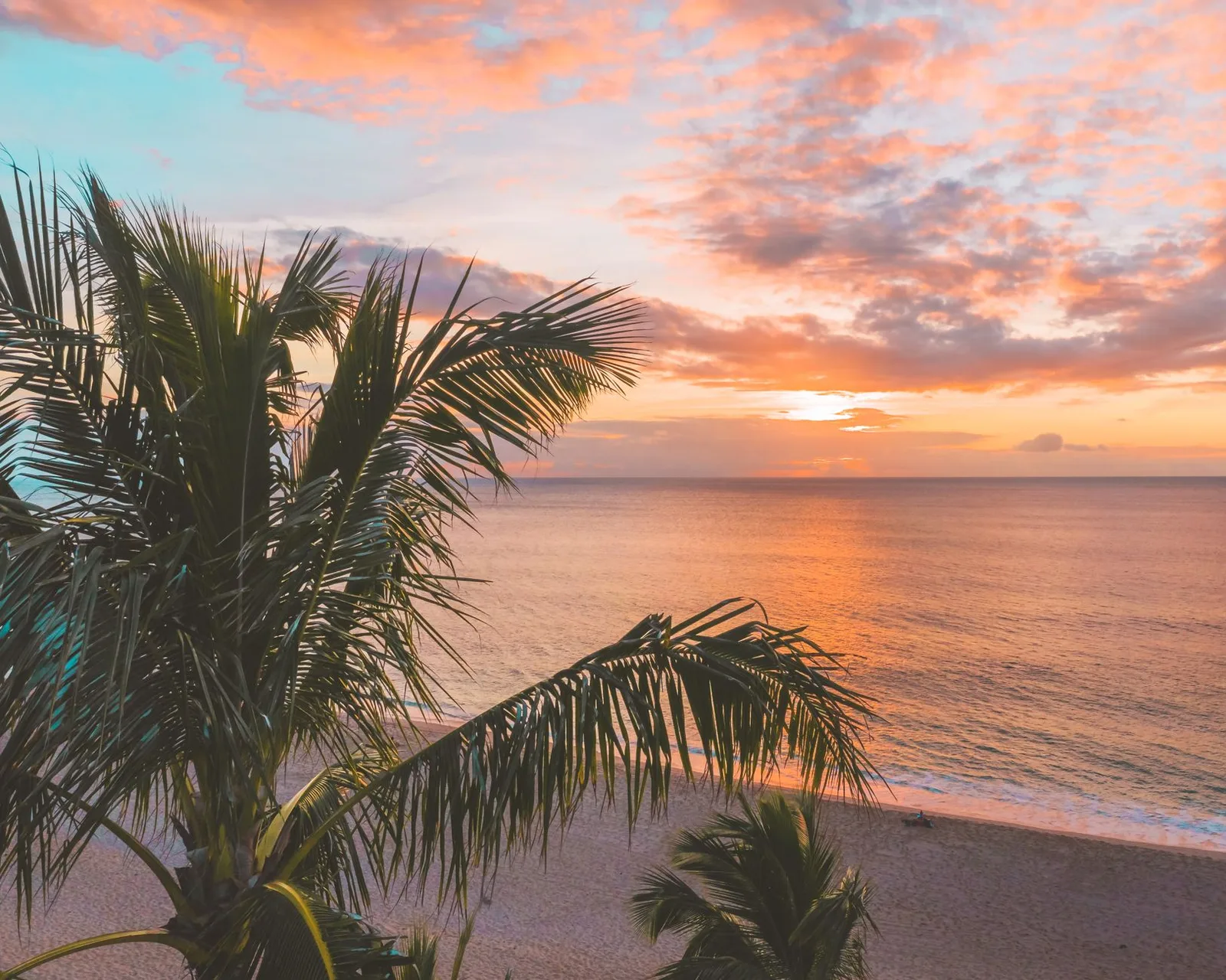 Lebhafter Sonnenuntergang über einem ruhigen Strand mit Kokospalmen, ideal für Entspannungsthemen.