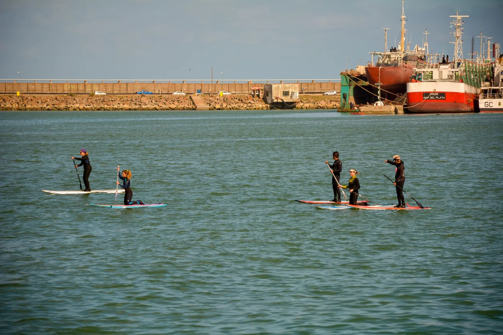 A group of people paddleboarding on calm waters near an industrial harbor setting.