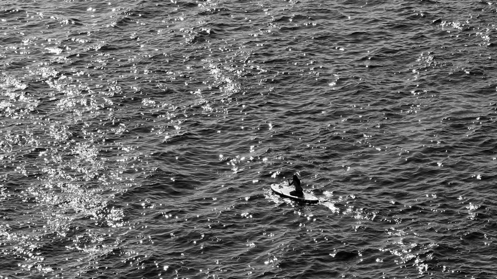 A lone paddleboarder enjoys the shimmering water waves under the sun.