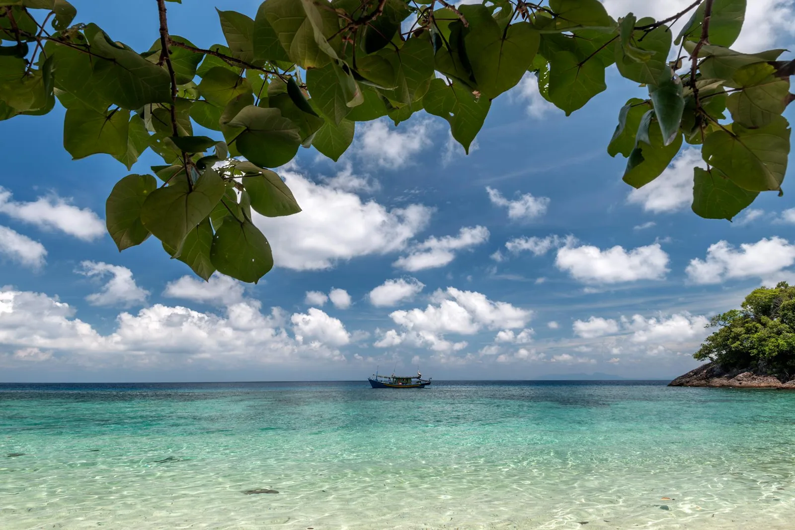 Peaceful tropical beach scene with turquoise water, leafy branches, and a distant boat under blue skies.